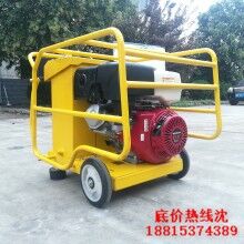 山東思拓瑞克 13馬力18馬力30馬力液壓動(dòng)力站