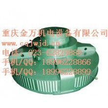 T、TL系列電機(jī)