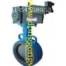 5046氣動(dòng)驅(qū)動(dòng)蝶閥，ROFES